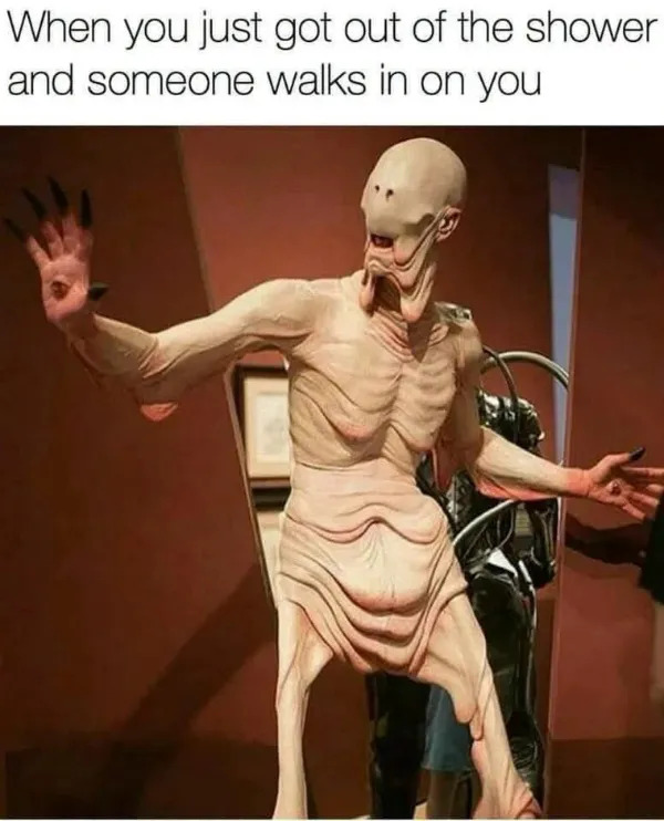 Random Memes (23 pics)