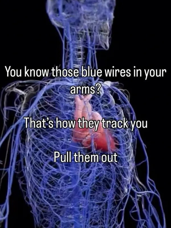 Random Memes (23 pics)