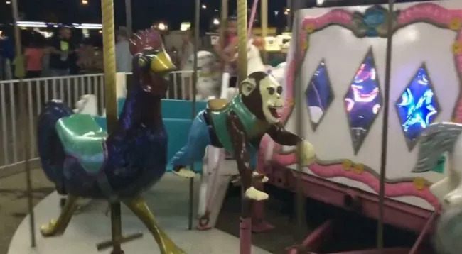 Scary Finds (29 pics) Scary Finds (29 pics)