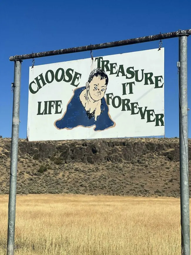 Scary Finds (29 pics) Scary Finds (29 pics)
