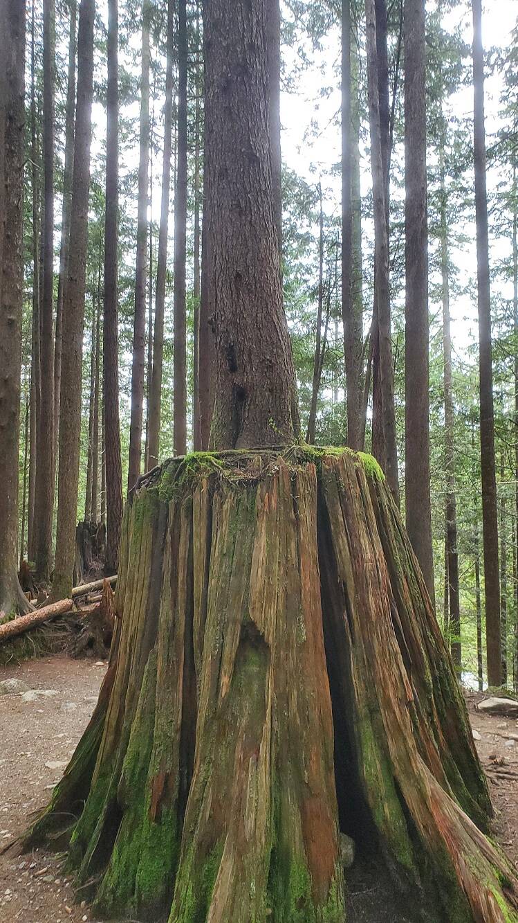 Daily Pictures. Part 1 (78 pics)