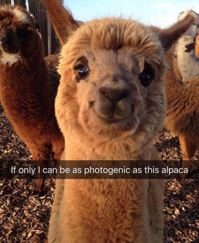 Daily Pictures. Part 2 (77 pics)