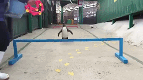 Acid GIFs, August 11 (25 gifs) Acid GIFs, August 11 (25 gifs)