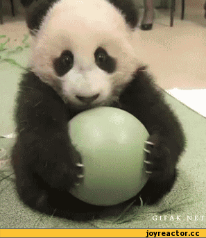 Acid GIFs, August 11 (25 gifs) Acid GIFs, August 11 (25 gifs)