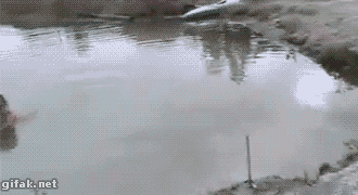 Acid GIFs, August 11 (25 gifs) Acid GIFs, August 11 (25 gifs)
