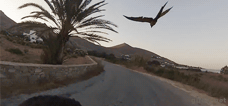 Acid GIFs, August 11 (25 gifs) Acid GIFs, August 11 (25 gifs)