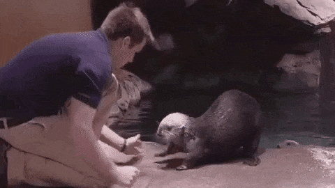 Acid GIFs, August 11 (25 gifs) Acid GIFs, August 11 (25 gifs)
