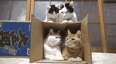 Acid GIFs, August 11 (25 gifs) Acid GIFs, August 11 (25 gifs)