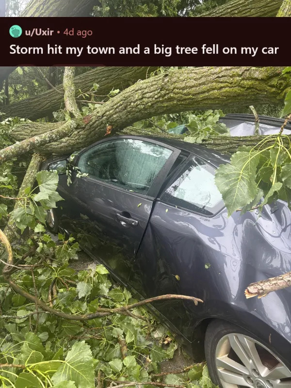 Bad Days Happen (14 pics)