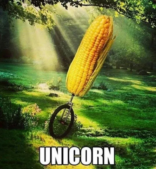 Random Memes (23 pics)