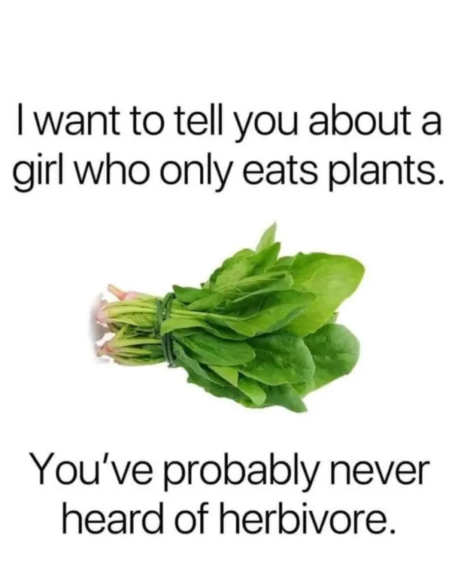 Random Memes (23 pics)