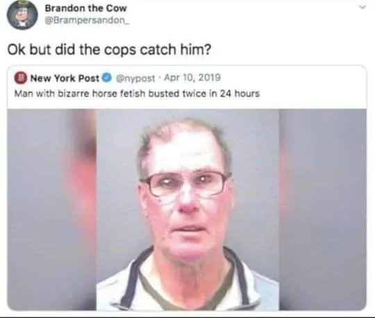 Random Memes (23 pics)