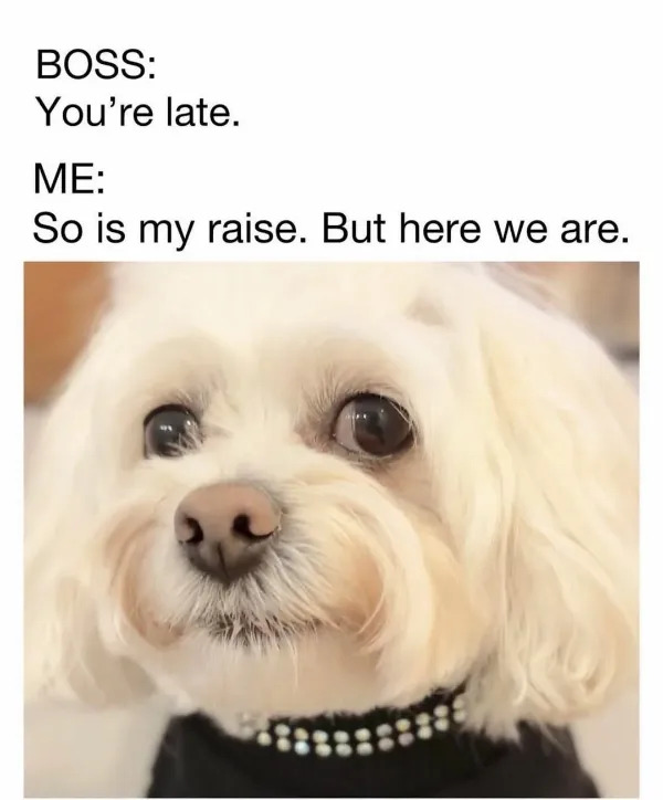 Work Memes (19 pics)