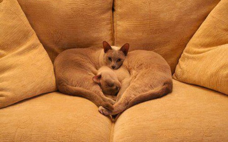 Photos For Perfectionists (19 pics)