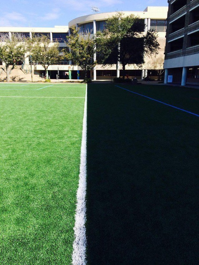 Photos For Perfectionists (19 pics)