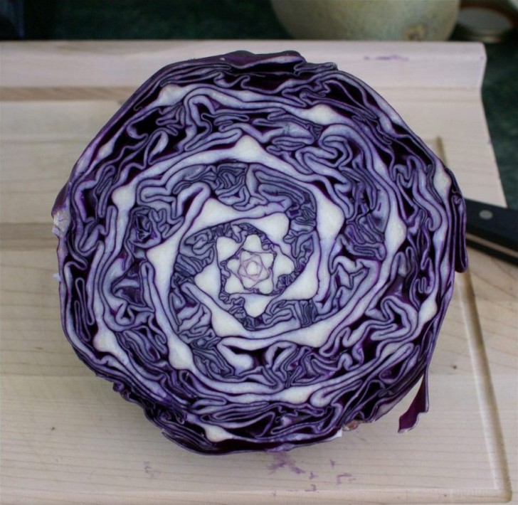 Photos For Perfectionists (19 pics)