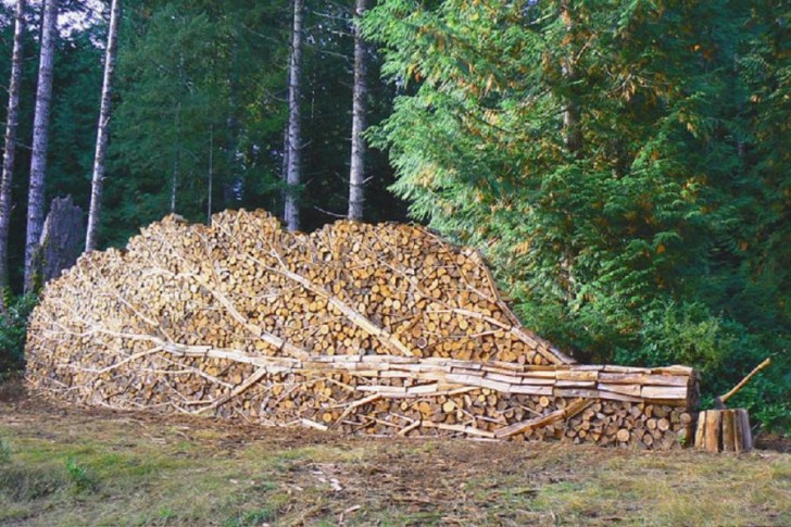 Photos For Perfectionists (19 pics)