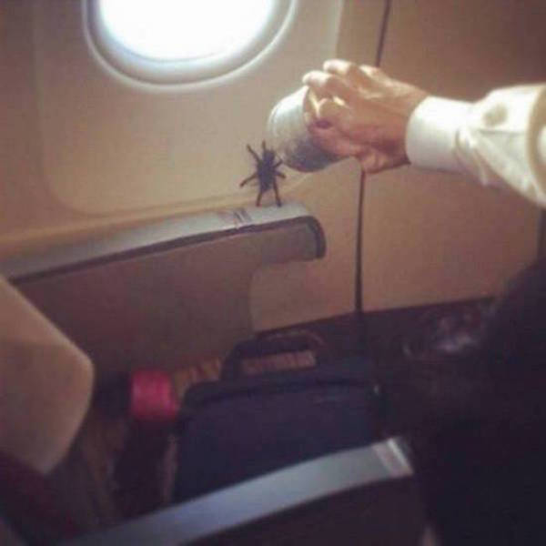 Unfortunate Situations (27 pics)