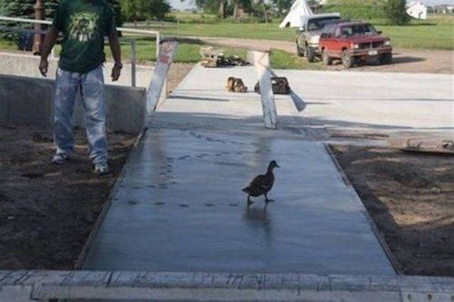 Unfortunate Situations (27 pics)