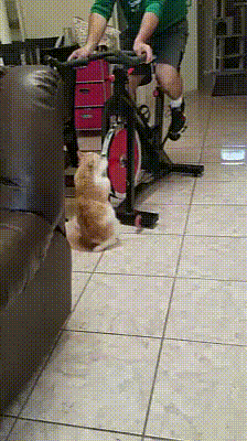 Acid GIFs, August 12 (25 gifs)