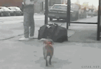 Acid GIFs, August 12 (25 gifs)