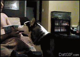 Acid GIFs, August 12 (25 gifs)