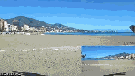 Acid GIFs, August 12 (25 gifs)