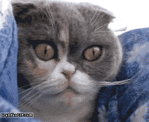 Acid GIFs, August 12 (25 gifs)