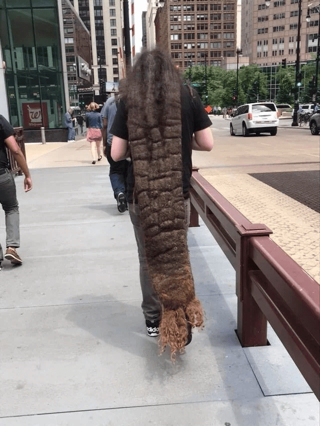 Awful Haircuts (17 pics) Awful Haircuts (17 pics)