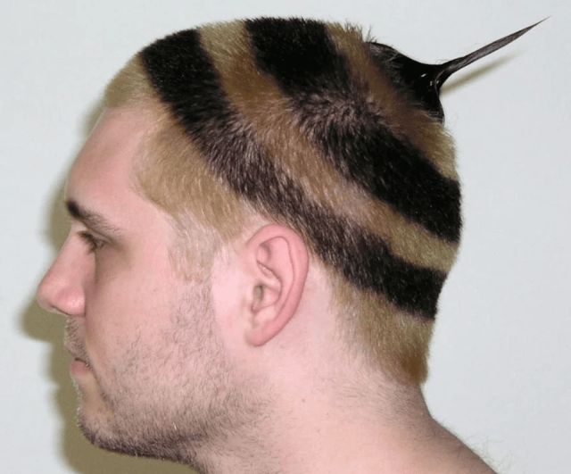 Awful Haircuts (17 pics) Awful Haircuts (17 pics)