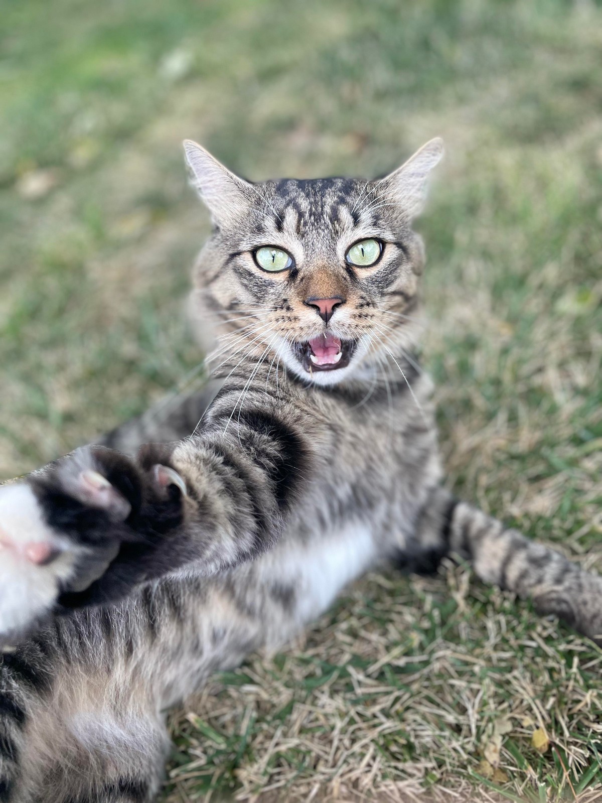 Right Moment (23 pics)