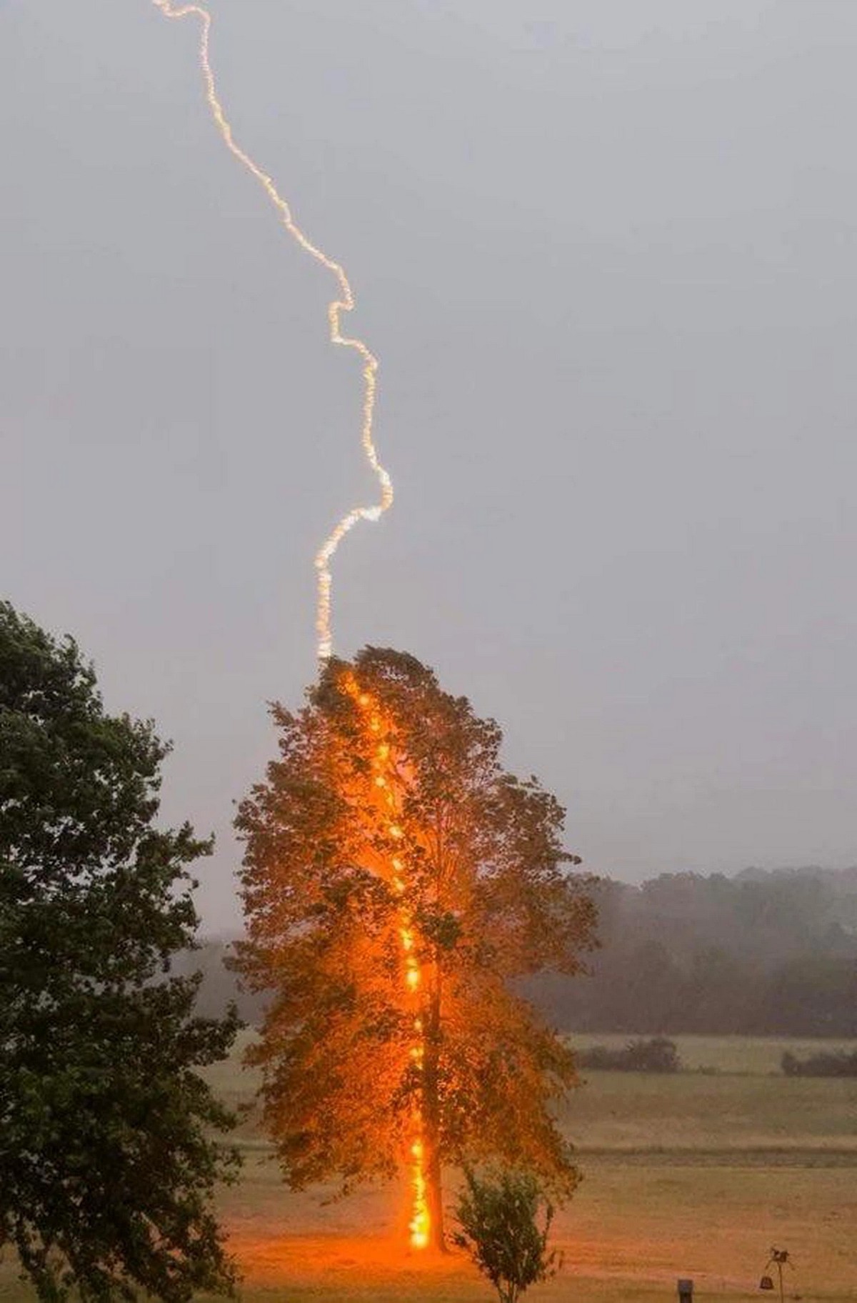 Right Moment (23 pics)