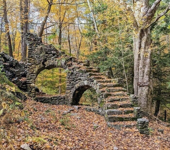 Unexpected Finds In The Woods (21 pics) Unexpected Finds In The Woods (21 pics)