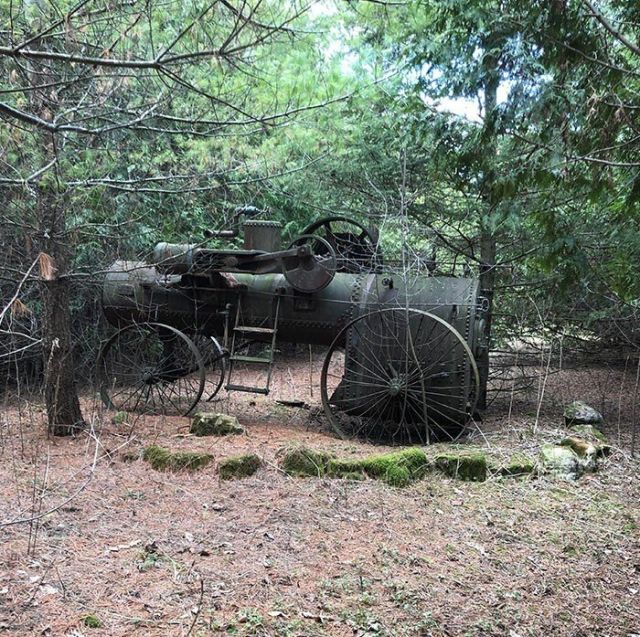 Unexpected Finds In The Woods (21 pics) Unexpected Finds In The Woods (21 pics)