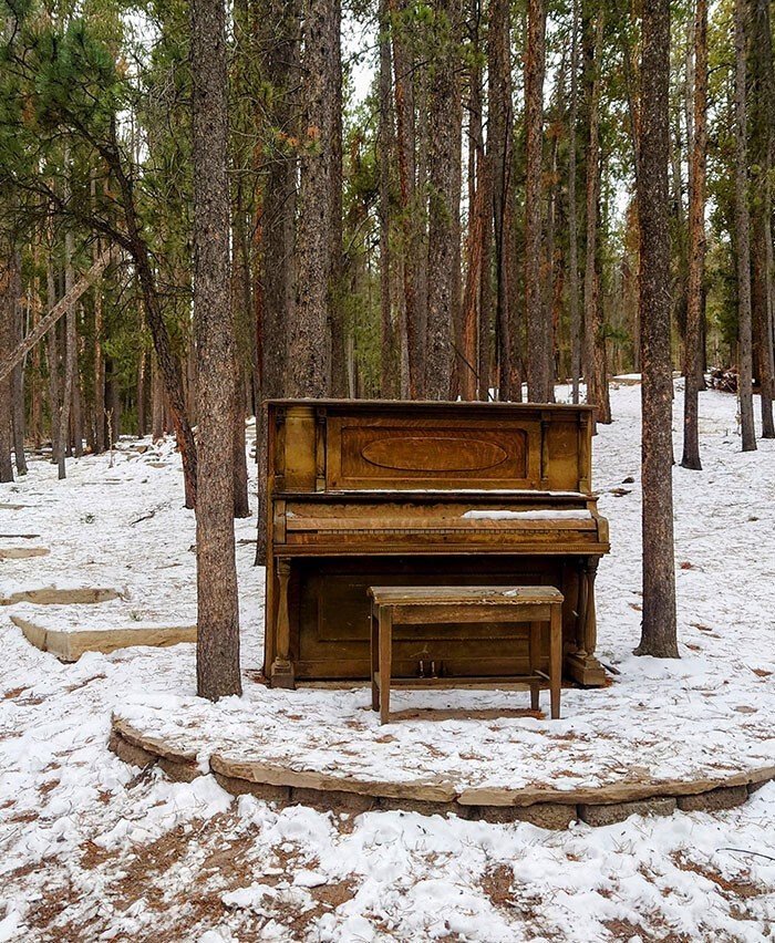 Unexpected Finds In The Woods (21 pics) Unexpected Finds In The Woods (21 pics)