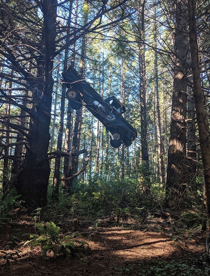 Unexpected Finds In The Woods (21 pics) Unexpected Finds In The Woods (21 pics)