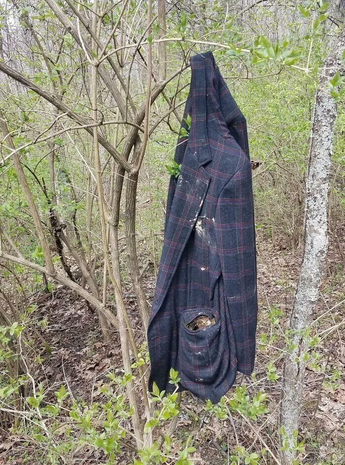 Unexpected Finds In The Woods (21 pics) Unexpected Finds In The Woods (21 pics)