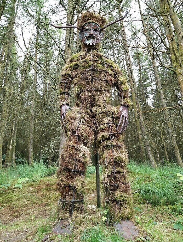 Unexpected Finds In The Woods (21 pics) Unexpected Finds In The Woods (21 pics)