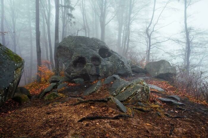 Unexpected Finds In The Woods (21 pics) Unexpected Finds In The Woods (21 pics)