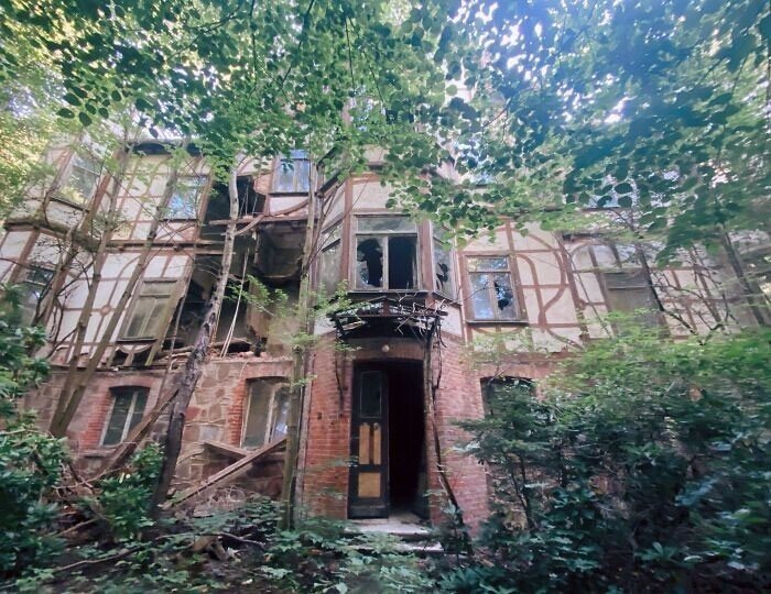 Unexpected Finds In The Woods (21 pics) Unexpected Finds In The Woods (21 pics)