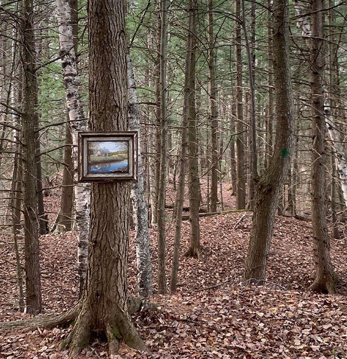 Unexpected Finds In The Woods (21 pics) Unexpected Finds In The Woods (21 pics)