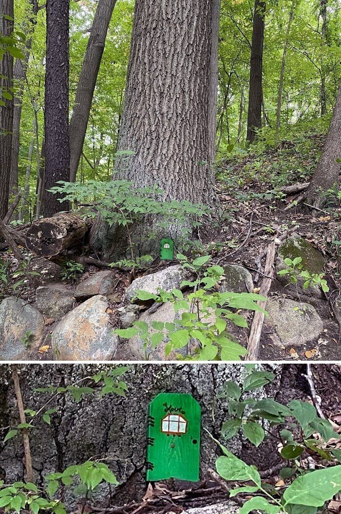 Unexpected Finds In The Woods (21 pics) Unexpected Finds In The Woods (21 pics)