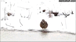 Acid GIFs, August 13 (25 gifs)