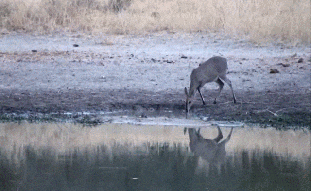 Acid GIFs, August 13 (25 gifs)