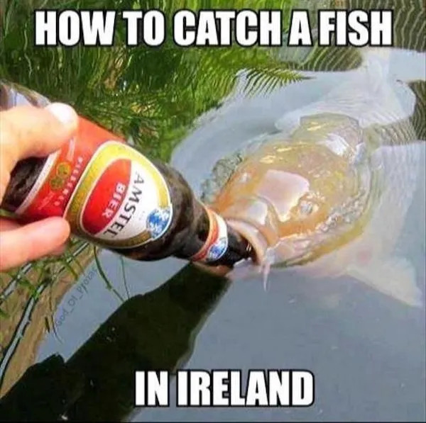 Funny Memes (24 pics) Funny Memes (24 pics)