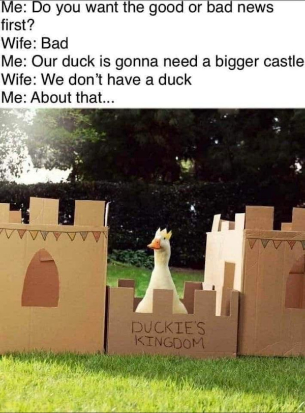 Funny Memes (24 pics) Funny Memes (24 pics)