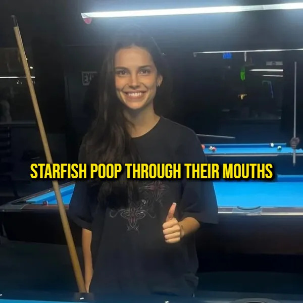 Interesting Facts (15 pics)