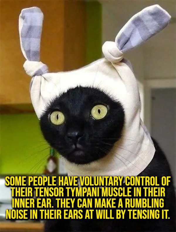 Interesting Facts (15 pics)