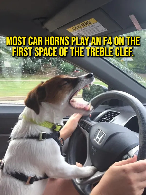 Interesting Facts (15 pics)