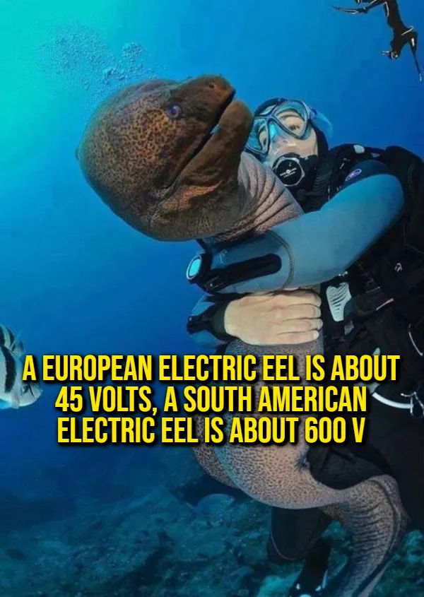 Interesting Facts (15 pics)
